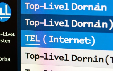 顶级域名类型繁多，究竟有哪几种分类让人眼花缭乱？