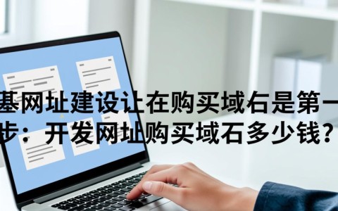 购买域名开发网站价格范围是多少？不同类型域名费用揭秘！