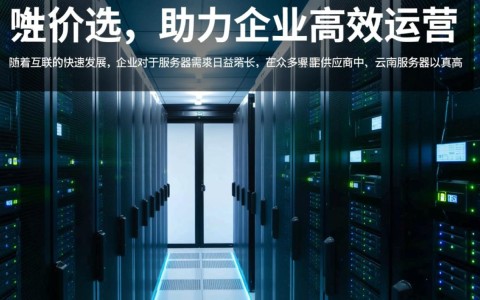 云南服务器价格实惠，是性价比之王？为何如此便宜？揭秘背后的秘密！