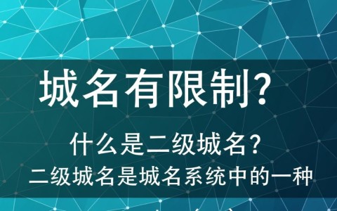 二级域名有限制？具体限制条件有哪些？使用限制解析！