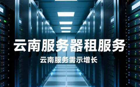 云南服务器租服务，如何选择性价比高的供应商？