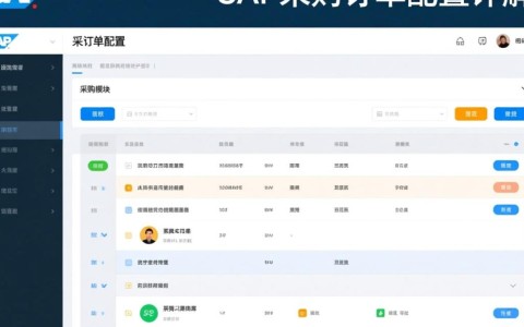 SAP采购订单配置中，有哪些关键环节容易出现问题？