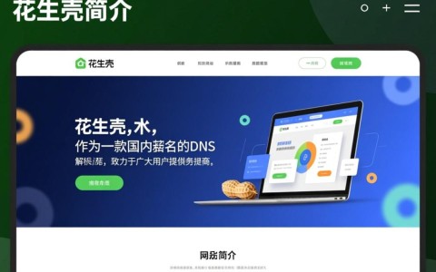 花生壳自定义域名，究竟如何操作实现个性化网站？揭秘步骤与技巧！