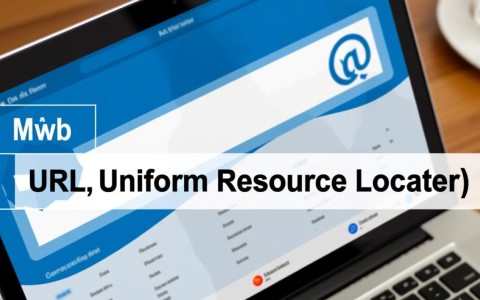 网址与域名究竟有何本质区别？为何两者在互联网中如此重要？