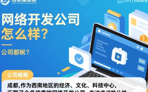 成都网络开发公司哪家强？性价比与口碑如何权衡？