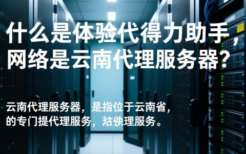 云南代理服务器使用效果如何？为何成为网络加速新选择？
