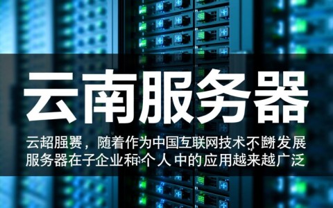云南安服务器价格为何波动如此之大？性价比与稳定性如何权衡？