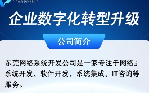 东莞哪家网络系统开发公司专业可靠，值得信赖？