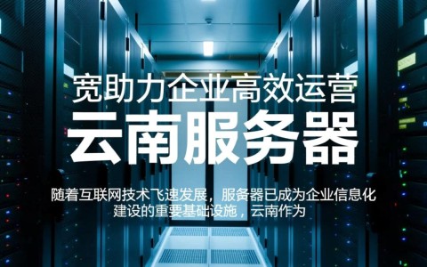 云南服务器大带宽，为何在本地企业应用中普及率不高？
