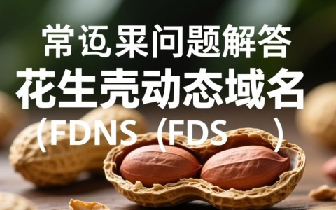 花生壳动态域名服务中断，原因及解决方案是什么？