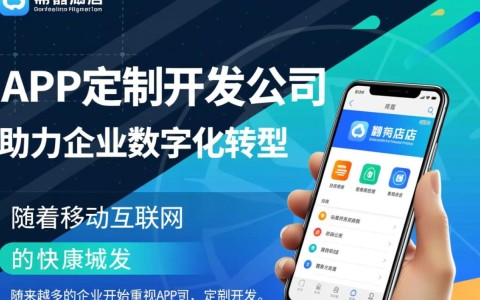 石家庄哪家app定制开发公司专业，如何选择？