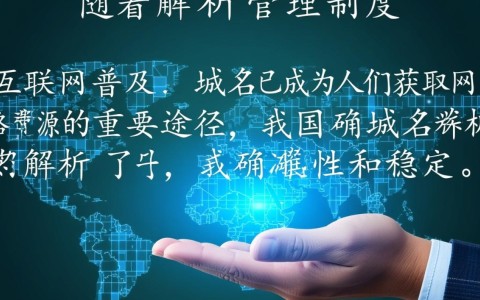 域名解析管理制度中，是否存在漏洞和监管盲点？