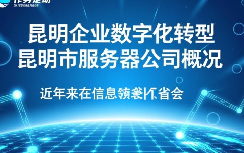 昆明服务器公司，哪家企业领跑云南省市场，技术与服务如何？