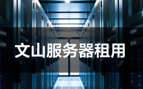 文山服务器租用，哪家服务商性价比更高，服务更优质？