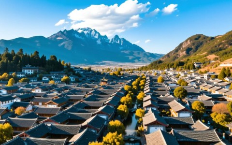 丽江bgp服务器性能如何？稳定性可靠吗？性价比高不高？