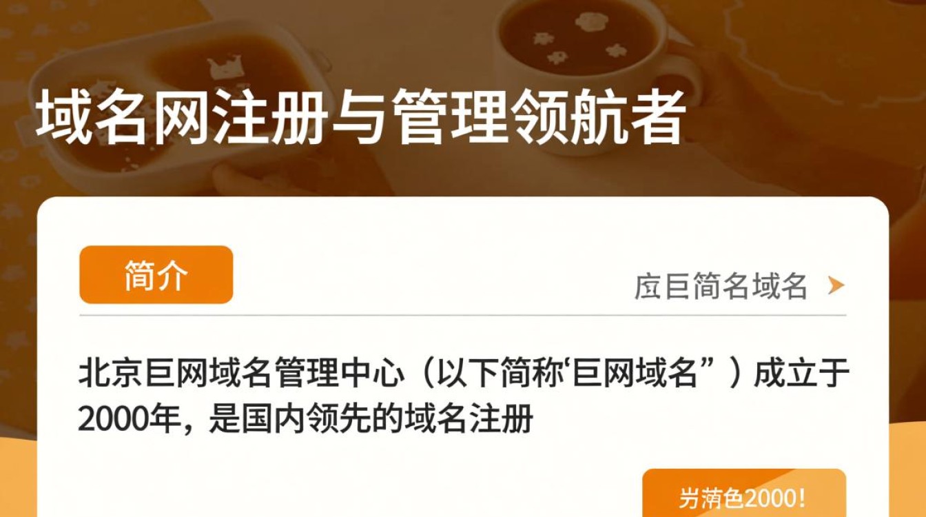 北京巨网域名管理中心，揭秘其业务模式与市场地位之谜？