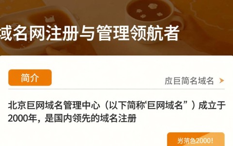北京巨网域名管理中心，揭秘其业务模式与市场地位之谜？