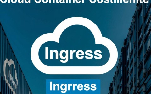 删除IngressdeleteExtensionsV1beta1NamespacedIngress_Ingress_云容器实例API，这一操作有何风险与后果？