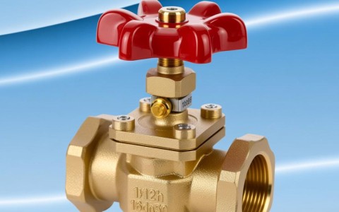 减压阀y12h 16cdn50为何成为市场热销产品？有何独特优势？