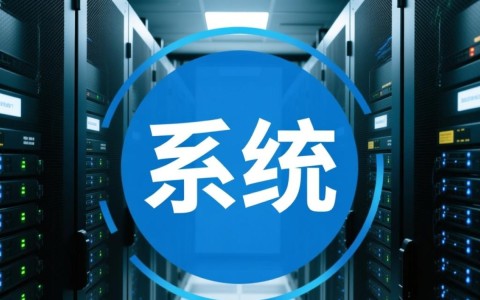 网管系统配置过程中，有哪些关键步骤和注意事项？