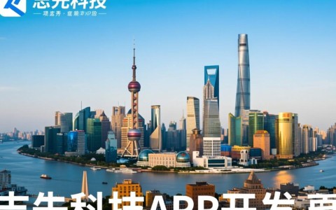 上海app开发领域，志先科技排名之谜，为何它能稳居前列？