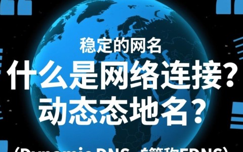 智能路由器动态域名，如何实现稳定上网与便捷管理？