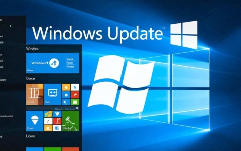 Windows Update配置0，如何正确设置以优化系统性能和安全性？