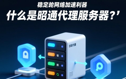 昭通代理服务器如何选择？性价比与稳定性如何权衡？