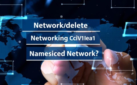删除NetworkdeleteNetworkingCciIoV1beta1NamespacedNetwork_Network_云容器实例API，具体操作步骤是什么？