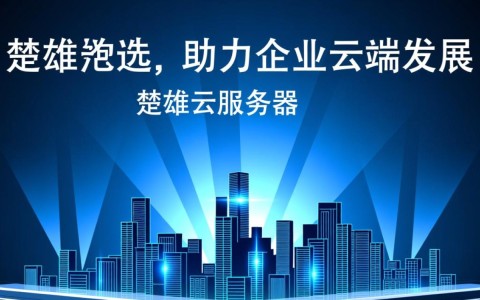 楚雄地区为何云服务器价格如此便宜？性价比之谜值得揭秘！
