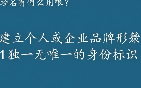 注册域名有什么实际用途？对企业和个人发展有何重要意义？