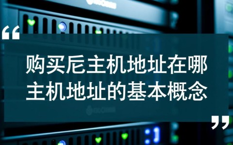 服务器购买后主机地址在哪里查看？