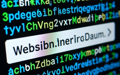 下列选项中，哪个不属于域名范畴？