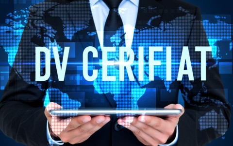 dv证书 二级域名如何选择合适的认证与优化策略？