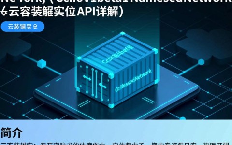 如何理解NetworkcreateNetworkingCciIoV1beta1NamespacedNetwork_Network在云容器实例API中的应用和作用？