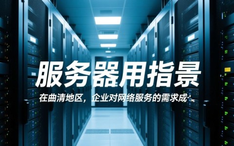 曲靖租服务器，性价比高的方案有哪些？哪家服务商更值得信赖？