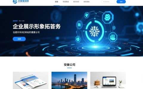 合肥网站开发网络公司，哪家服务更专业，性价比更高？