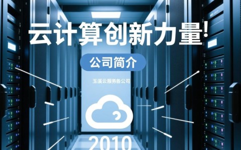 玉溪云服务器公司提供的服务是否满足行业高标准需求？