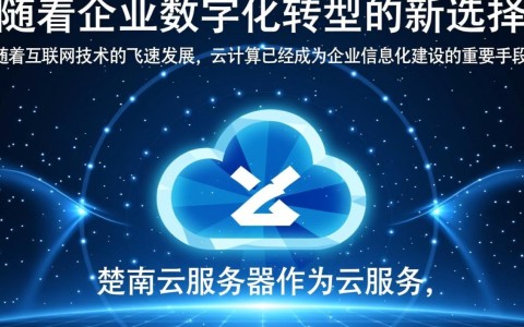 楚雄云服务器，为何在楚雄地区选择云服务器的优势与挑战是什么？