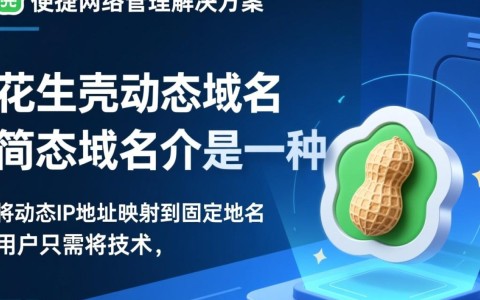 花生壳动态域名内网配置，究竟有哪些不为人知的挑战与解决方案？