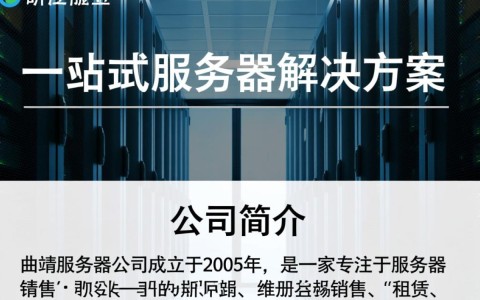曲靖服务器公司在本地市场表现如何？有何独特优势？