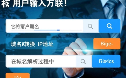 探讨全球最长域名解析时间，揭秘互联网速度背后的秘密