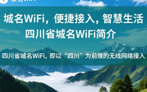 四川省域名WiFi是什么？普及程度与使用体验如何？
