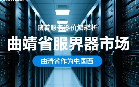 曲靖省服务器价格为何波动如此之大？揭秘性价比与配置之谜！