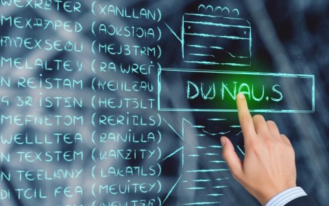 域名状态详解，为何我的域名显示为域名状态，背后含义是什么？