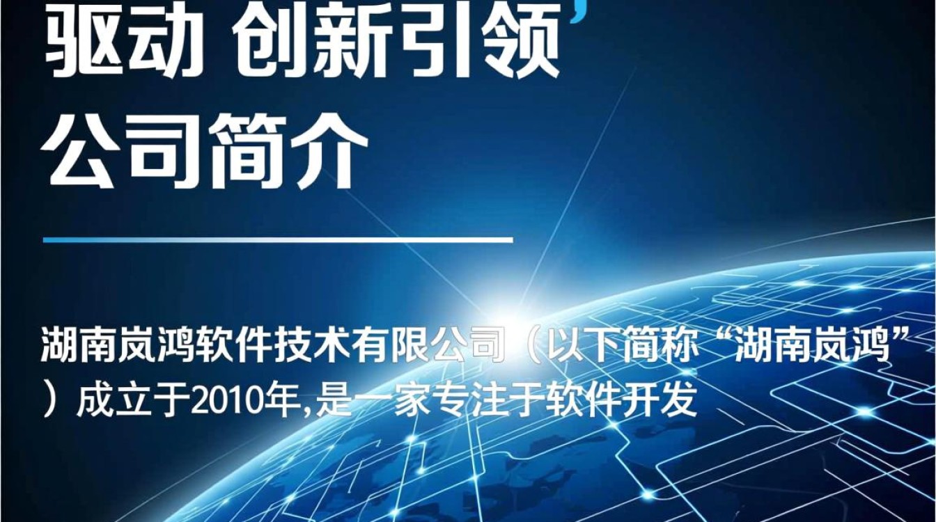 湖南岚鸿软件开发公司，其业务范围和项目案例有哪些独特之处？