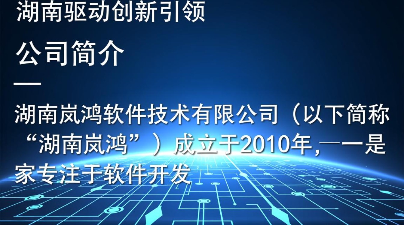 湖南岚鸿软件开发公司，其业务范围和项目案例有哪些独特之处？