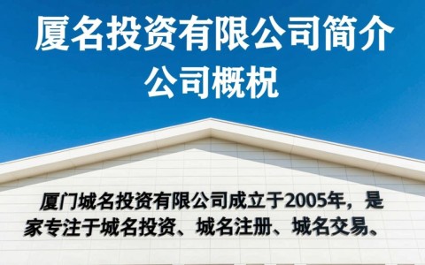 厦门域名投资有限公司的经营策略和行业地位有何独特之处？