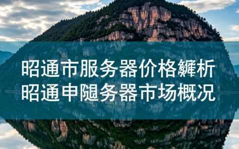 昭通市服务器价格为何如此波动？性价比如何？