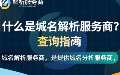 如何准确查询优质域名解析服务商？揭秘行业选择难题！